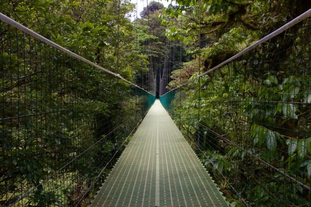 Costa Rica ecotourism Monteverde Cloud Forest