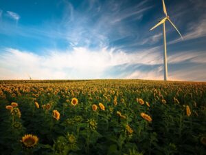 Wind energy pros and cons