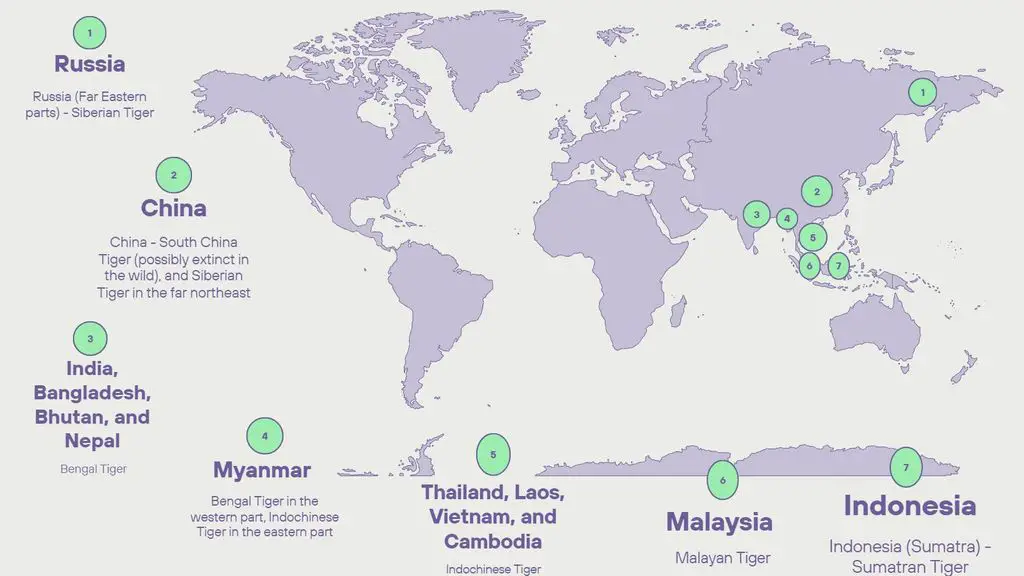 Where do tigers live? A Map!