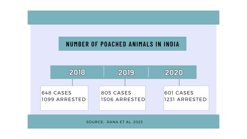 Number of poached animals in India