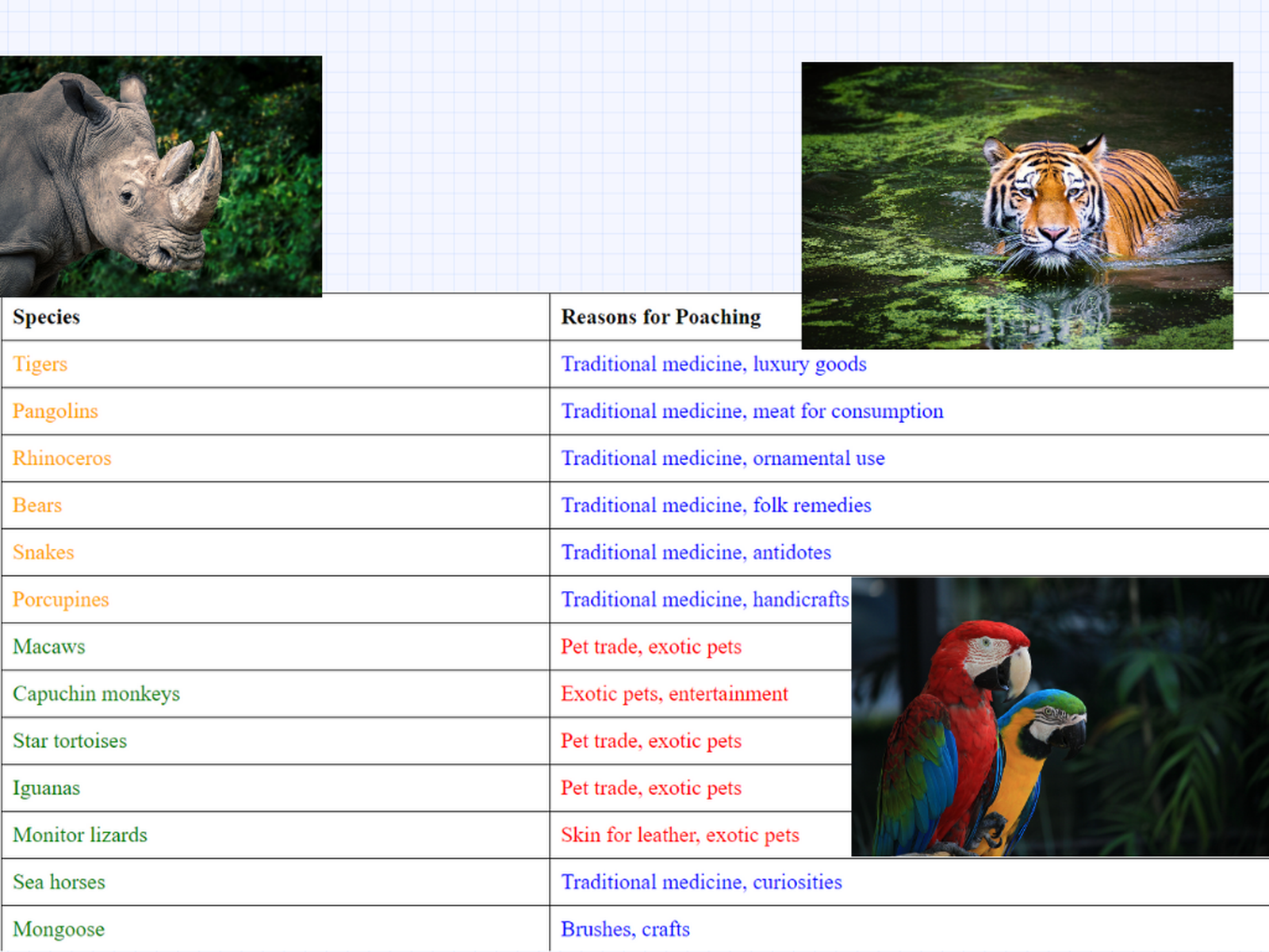 Wildlife Poaching Statistics: Where Are Animals Poached The Most?