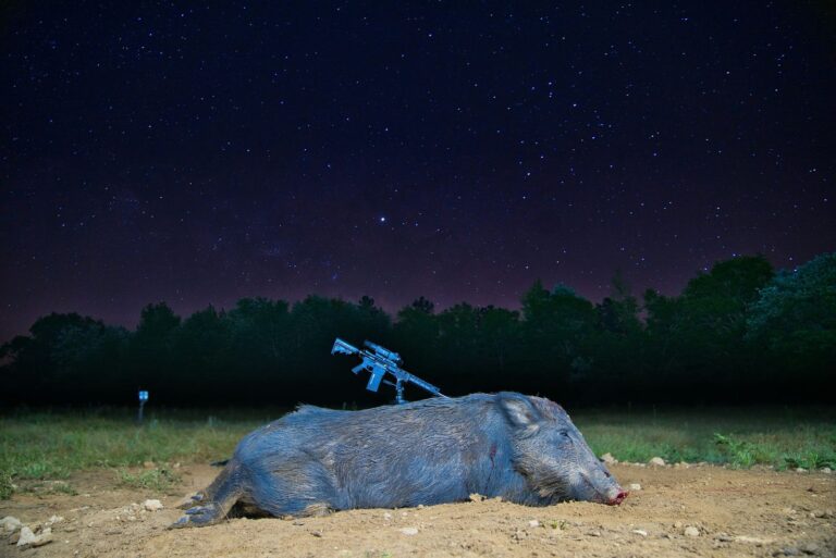 is hunting ever justified?