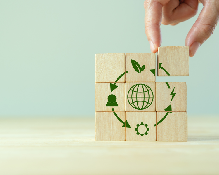 Circular Economy Model