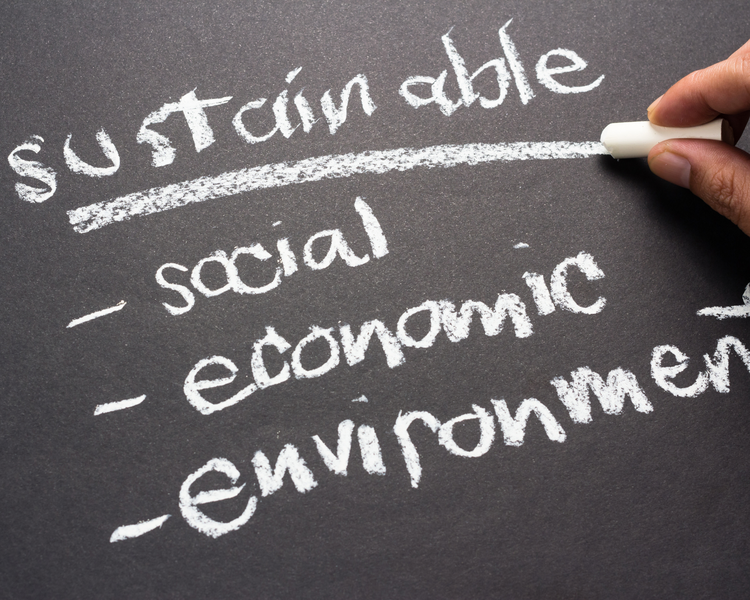 Sustainability Courses