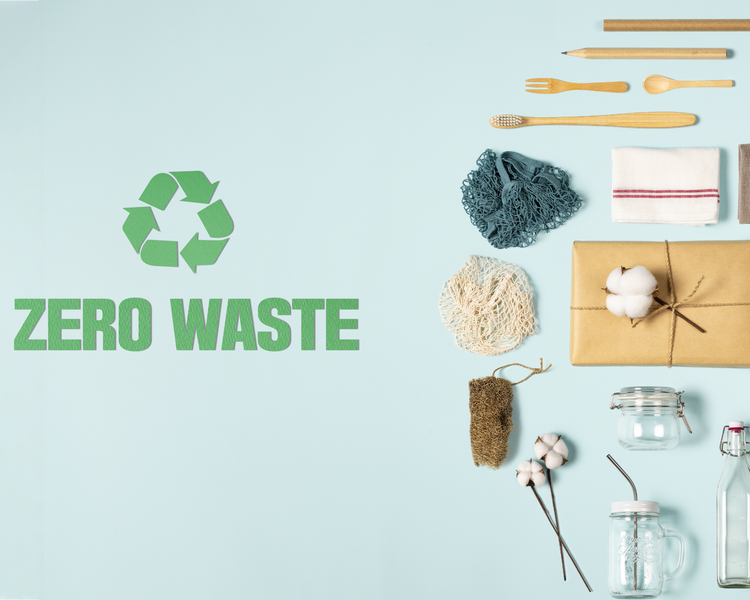 Circular Economy Model