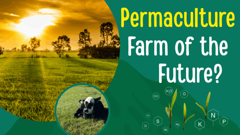 What is Permaculture?